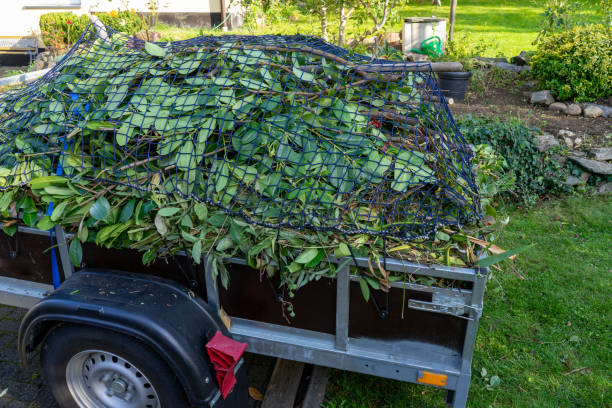 Best Yard Waste Removal  in Olivet, MI